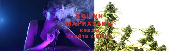 круглые Белокуриха