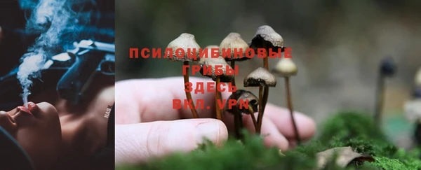 кокаин премиум Беломорск
