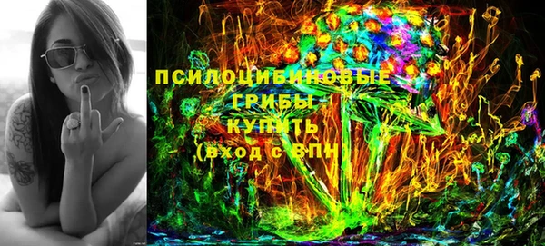 круглые Белокуриха