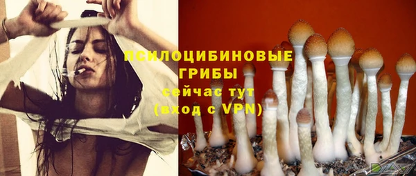 круглые Белокуриха
