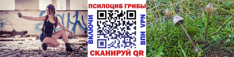 купить закладку  Нижний Тагил  Псилоцибиновые грибы MAGIC MUSHROOMS 